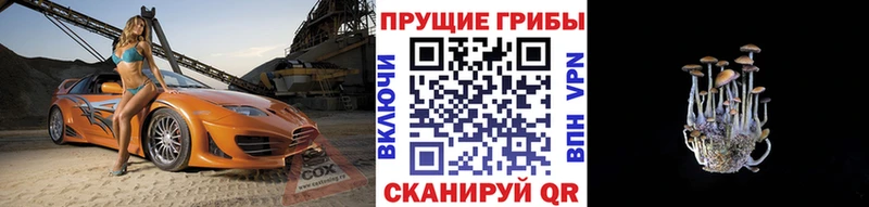 Галлюциногенные грибы прущие грибы  Купить  Мелеуз 